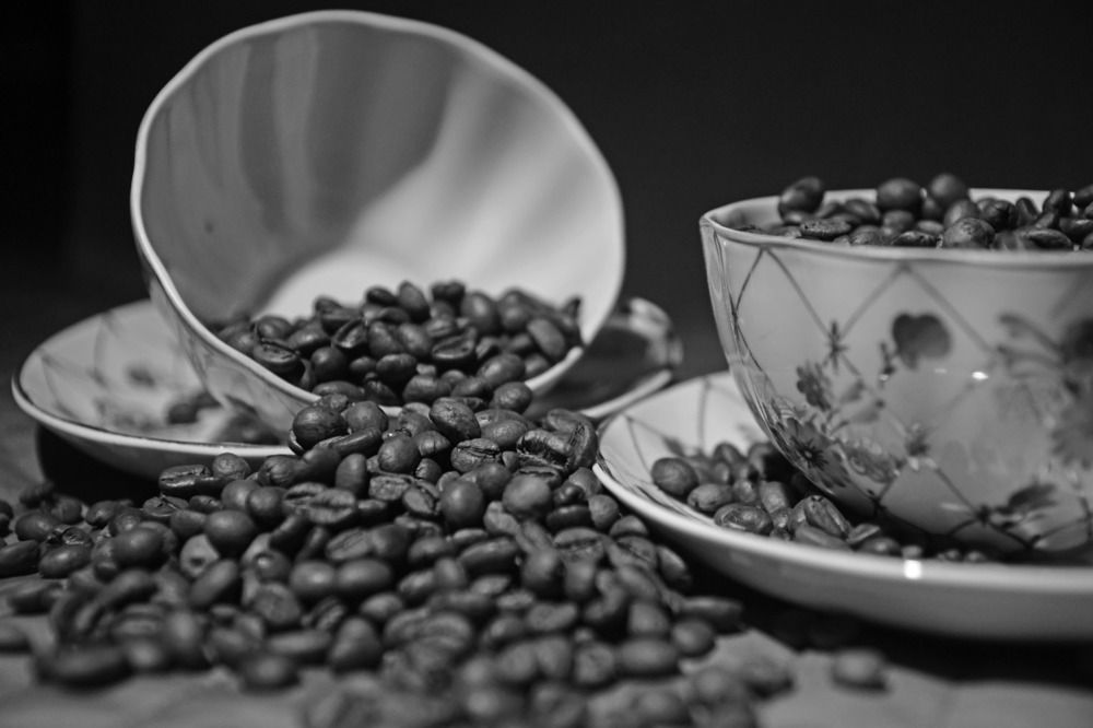 Photograph by Анна Васильева