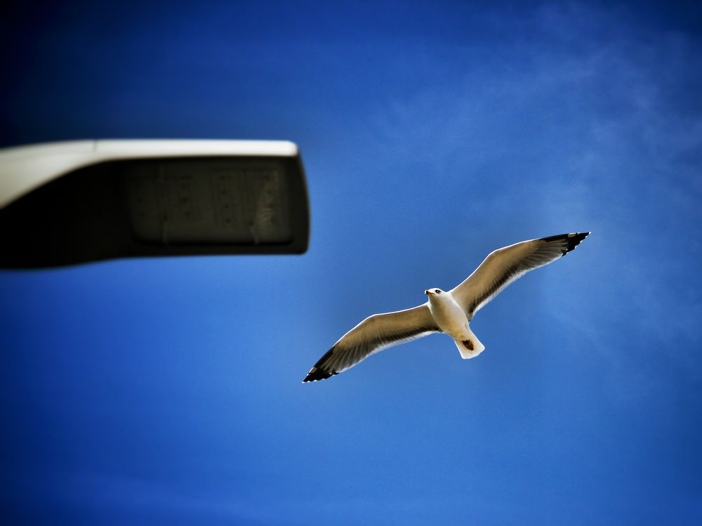 Photograph by Wendy