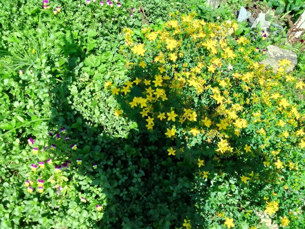 Photograph by Лилия Исхакова