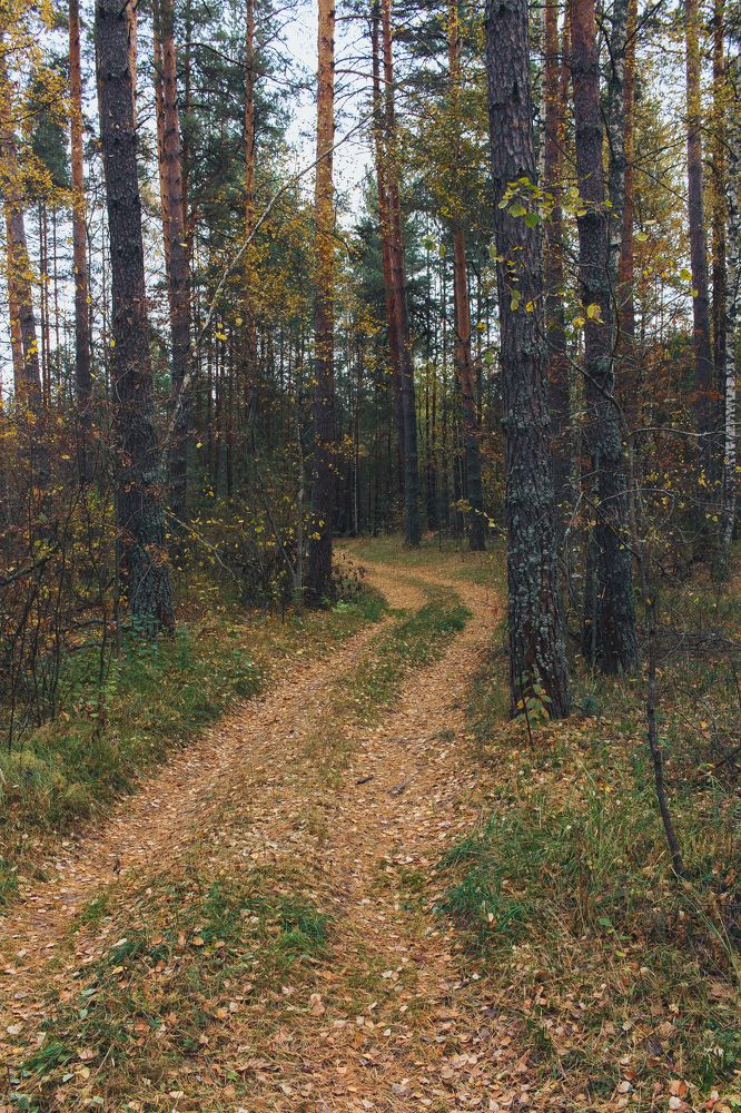 Photograph by Михаил Кудрин