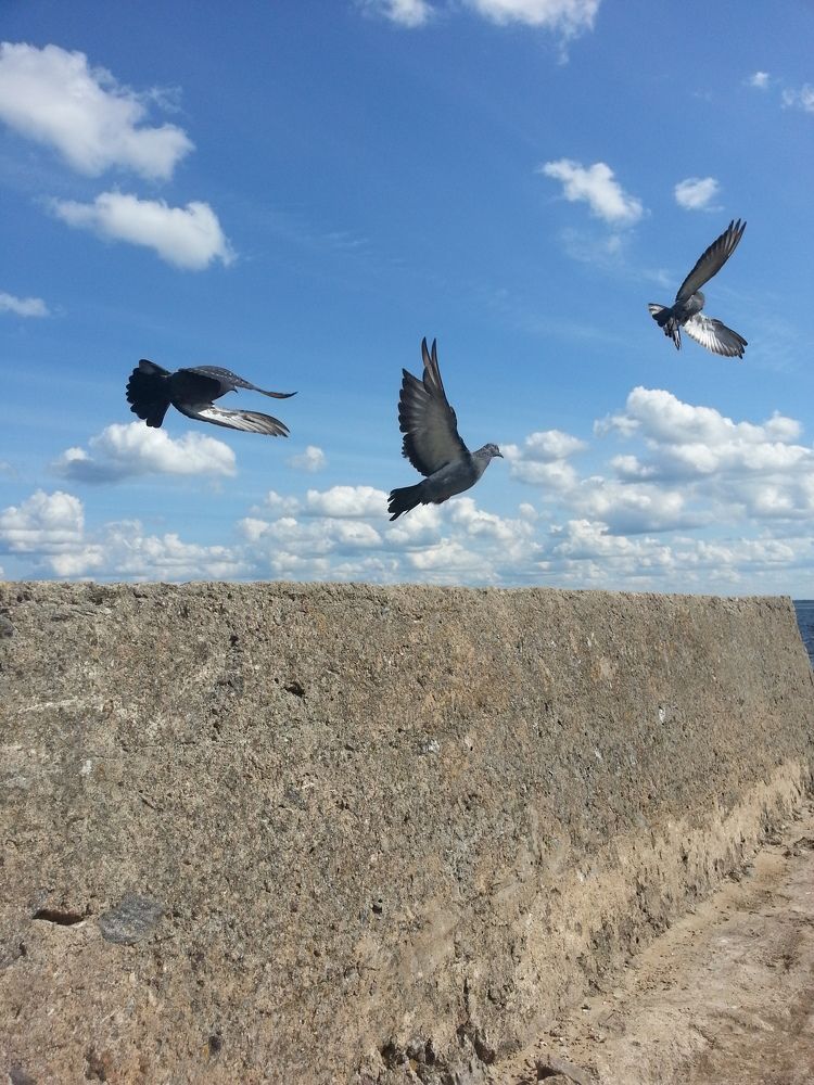 Photograph by Игорь Блинов