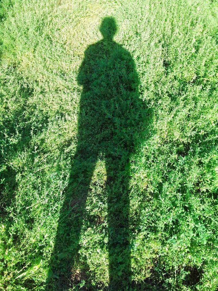 Photograph by Лилия Исхакова