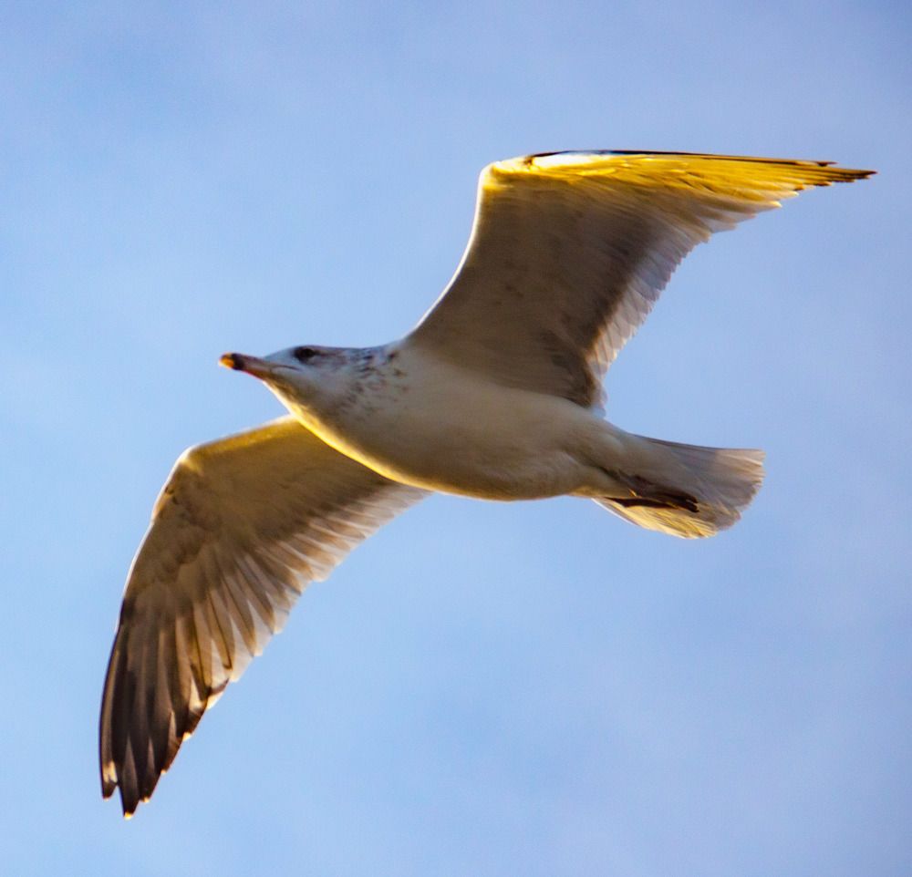 Photograph by Анастасия Перминова