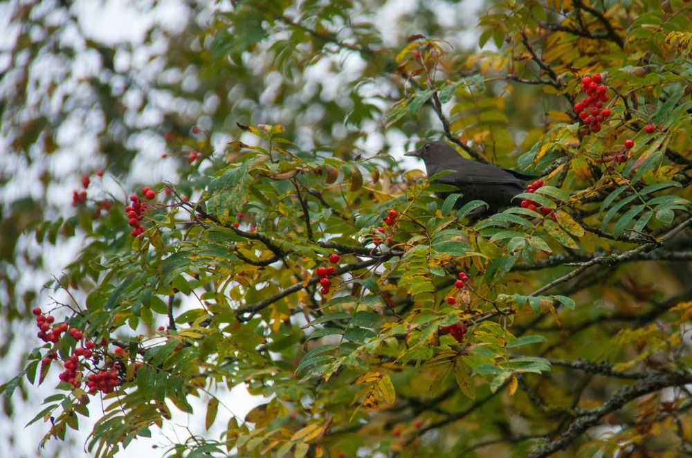 Photograph by Анастасия Перминова