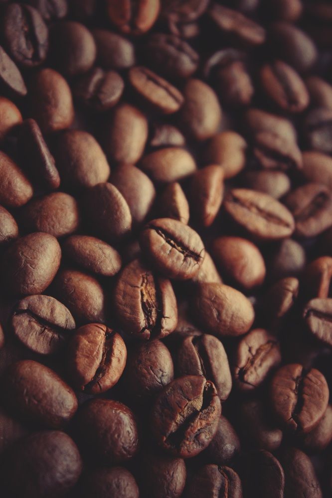 Photograph by Татьяна Сычёва