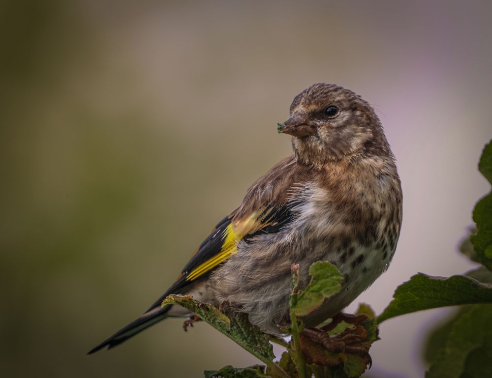 Photograph by Eva Wiedemann