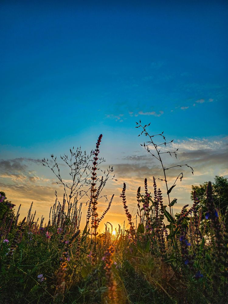 Photograph by Irina Chka