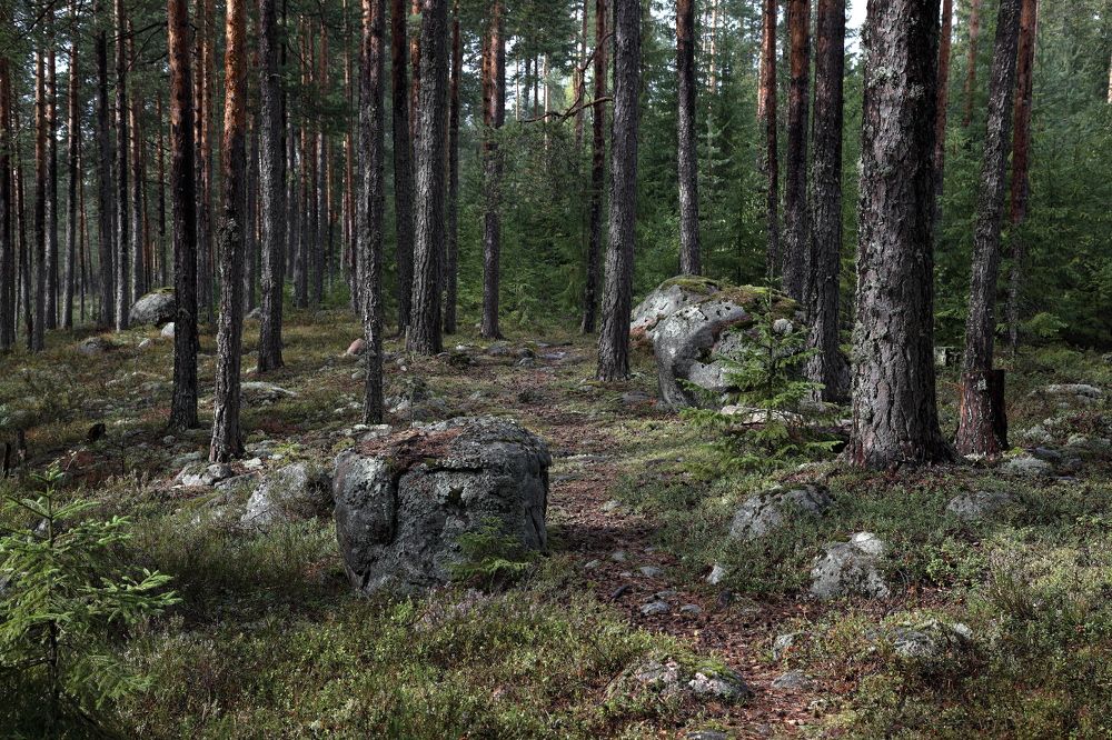 Photograph by АНДРЕЙ МИТЮРИН