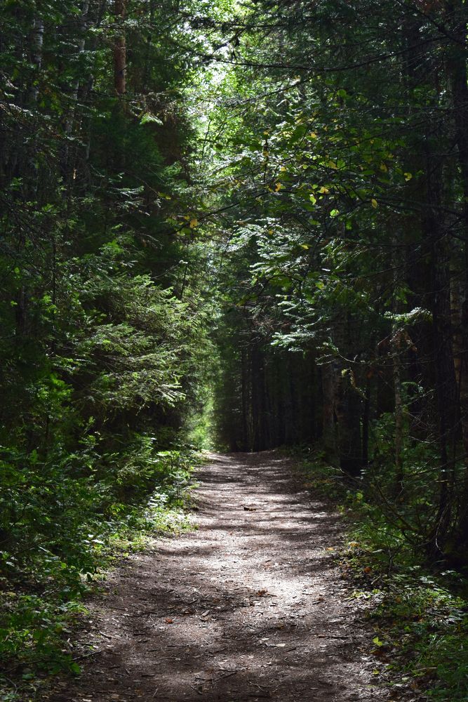 Photograph by Екатерина Чёрная