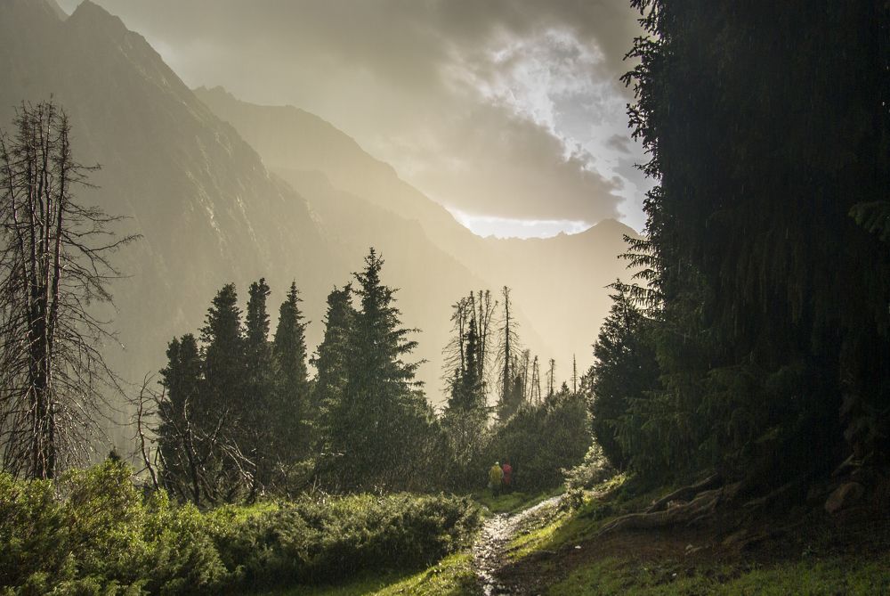 Фотография автора Владимир Драчев
