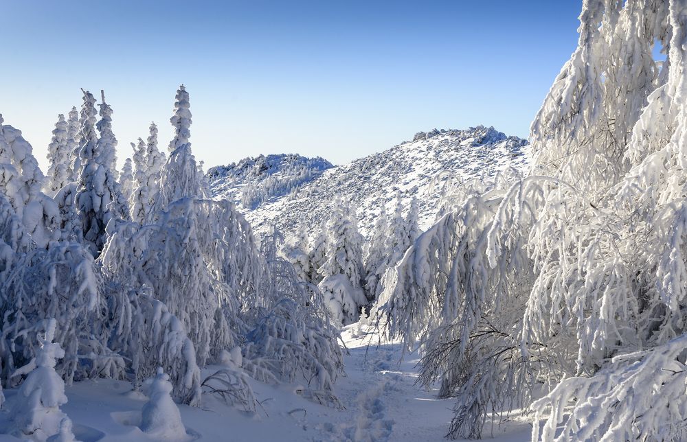 Фотография автора Владимир Драчев
