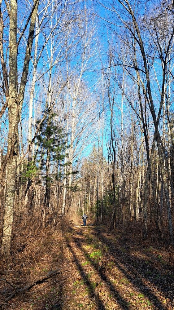 Photograph by Виктор Сёмушкин