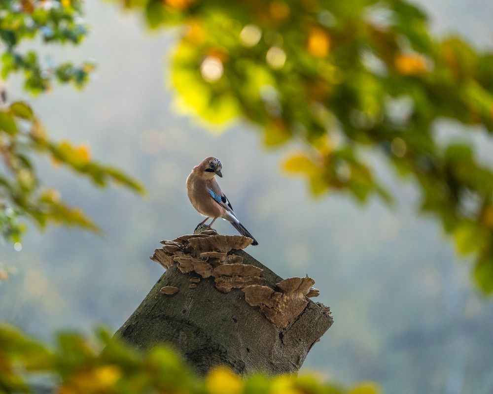 Photograph by Raman Danilchyk