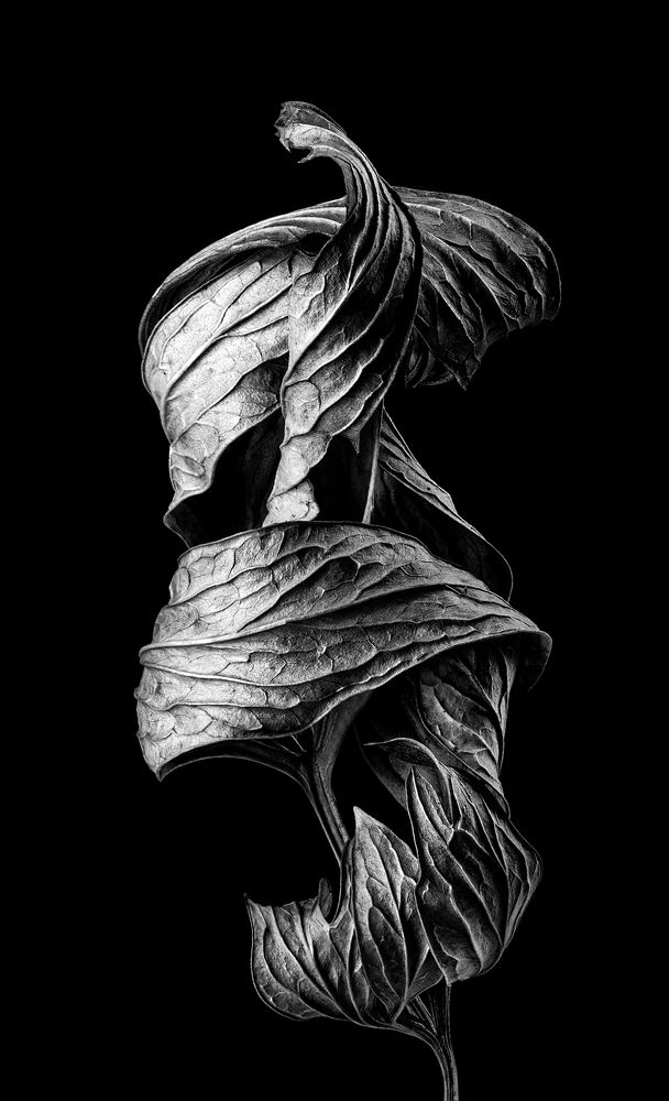 Photograph by Дёгтев Евгений