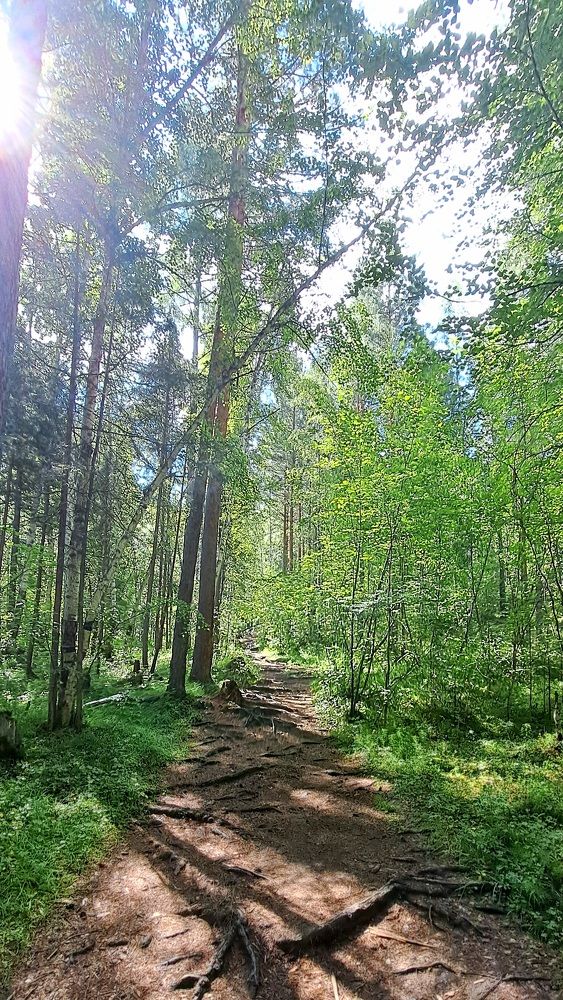 Photograph by Виктор Сёмушкин