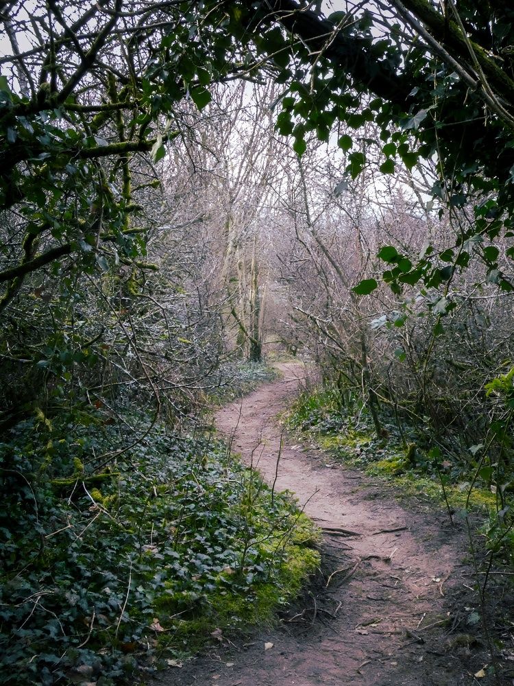 Фотография автора Michael Gault