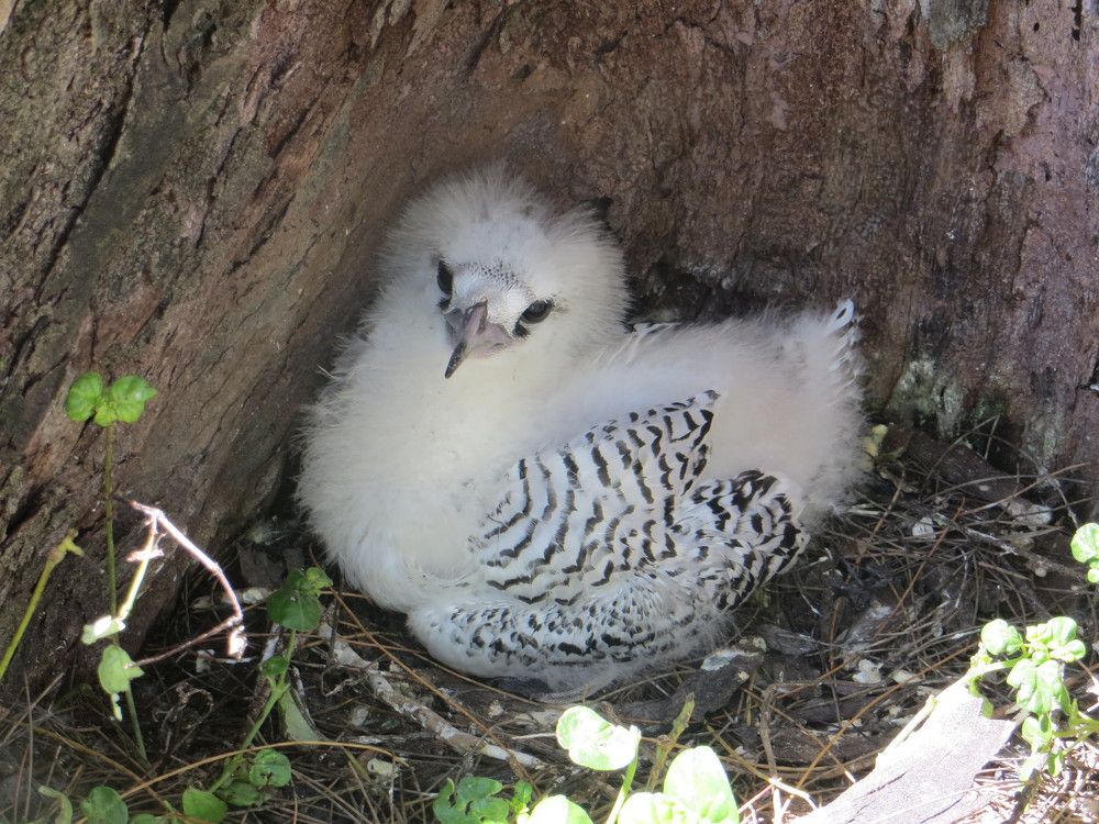 Photograph by Татьяна Поминова