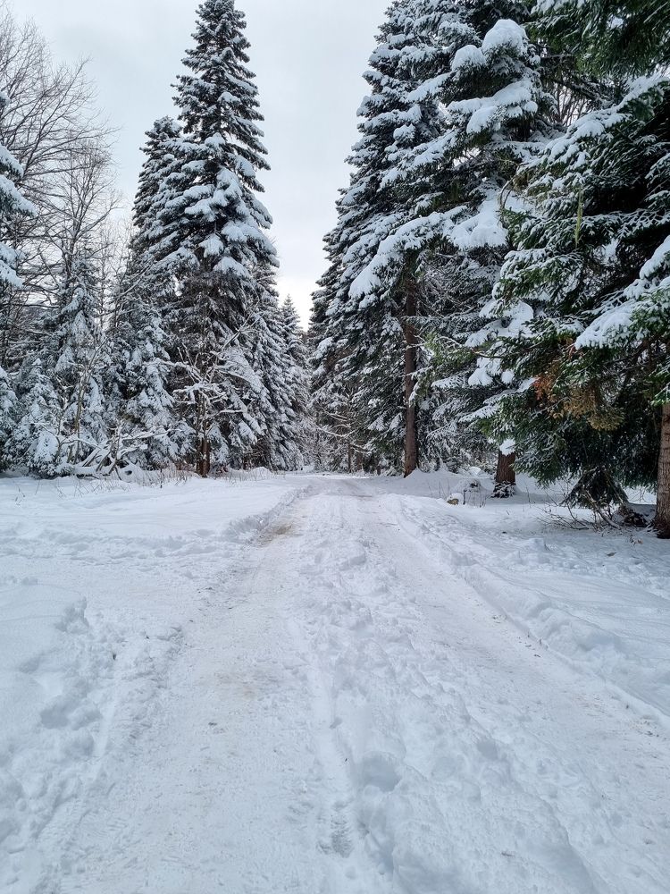 Photograph by Ирина Герлин