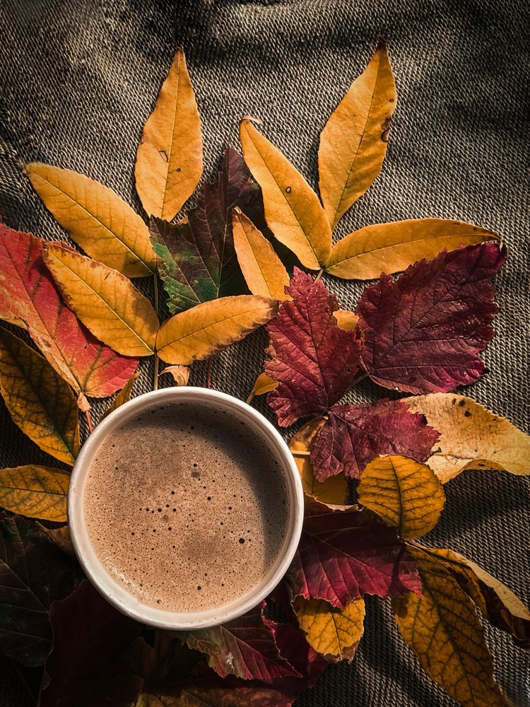 Photograph by Елена Громова