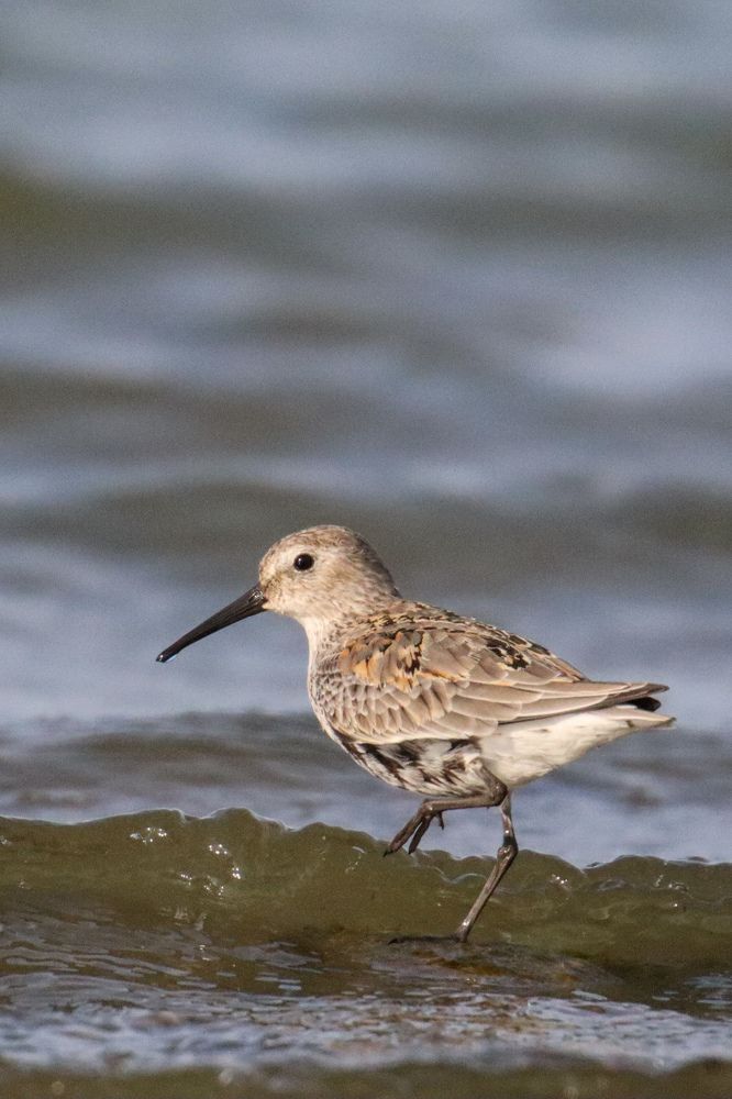 Photograph by Evgenia Korchagova