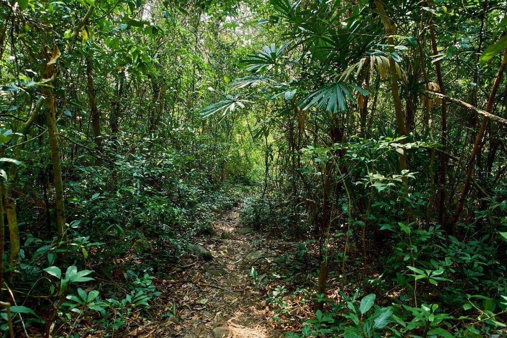 Photograph by Дмитрий Солодухин