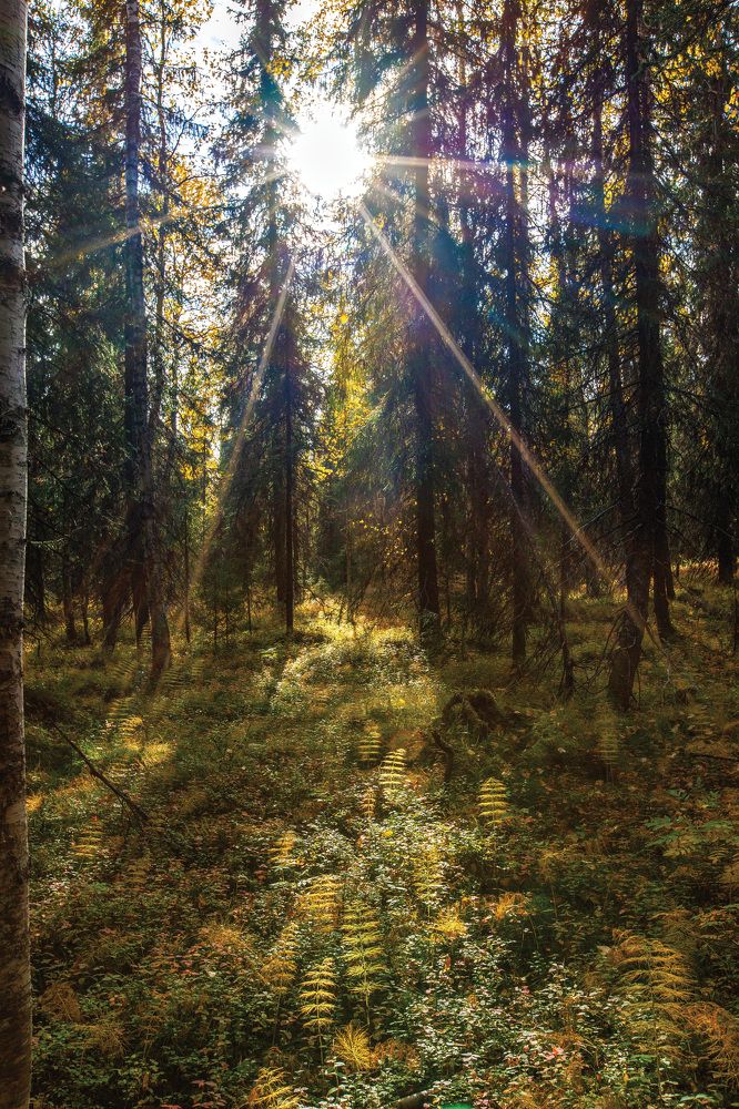 Photograph by Толяныч