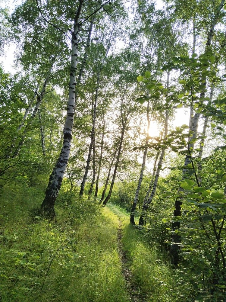 Photograph by Ольга Чернова
