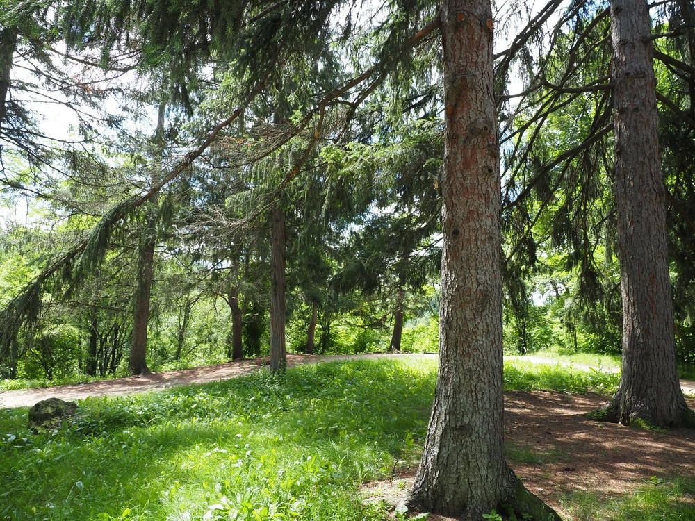 Photograph by Сергей Борисов