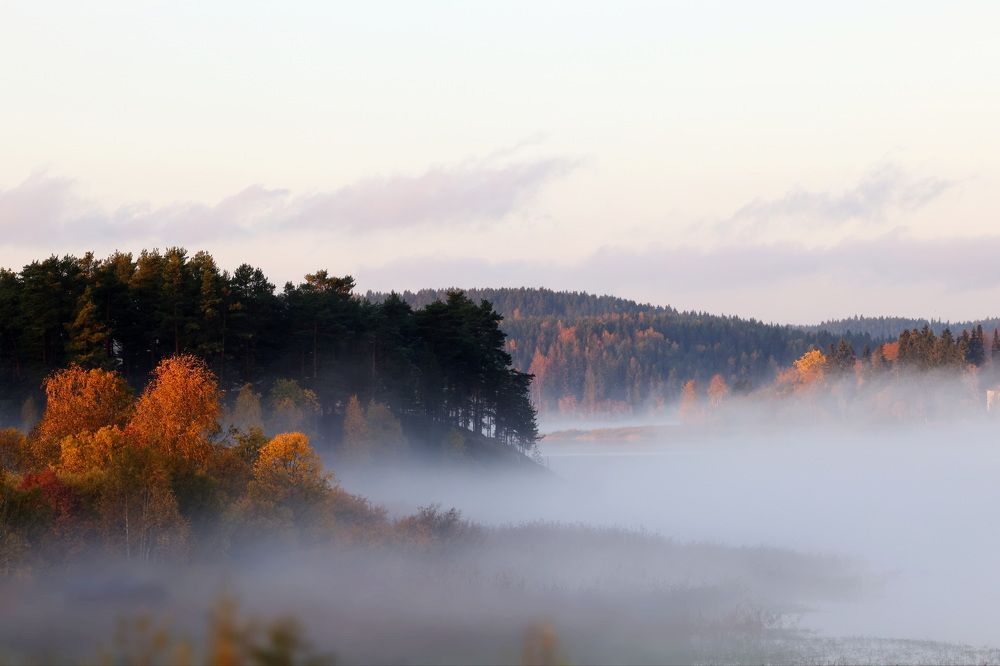 Photograph by Ольга Одаренко
