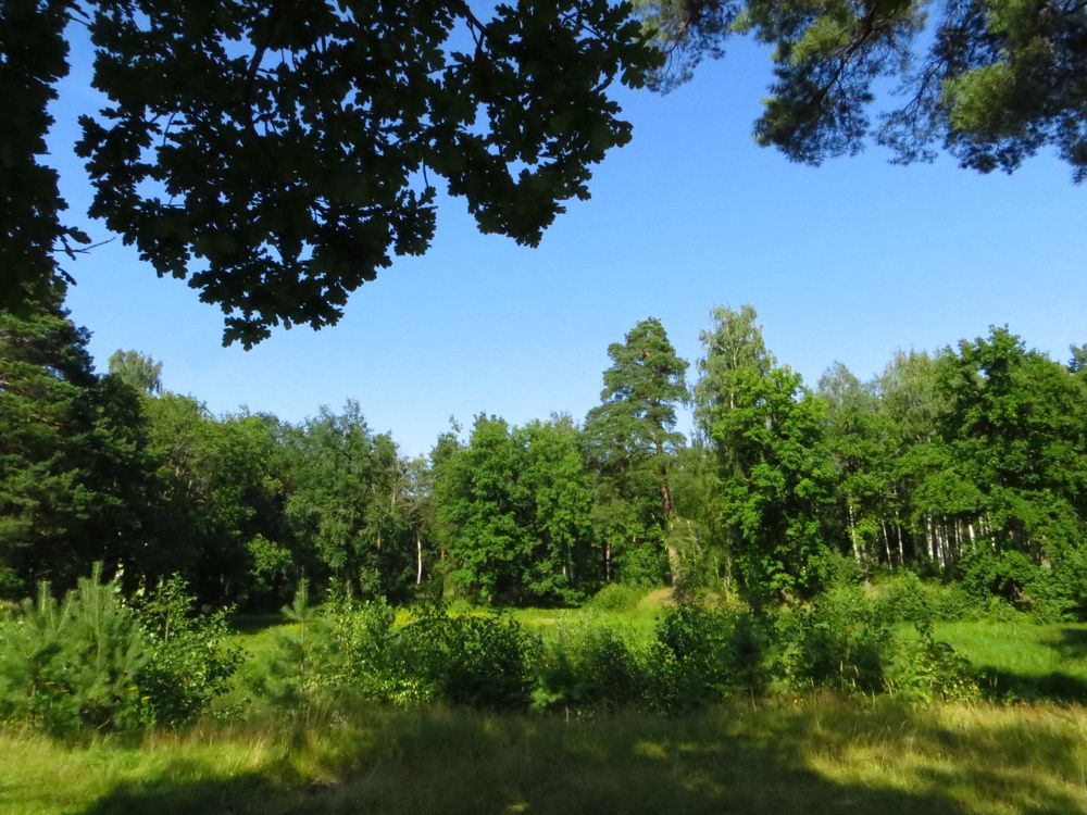 Photo #11243206
