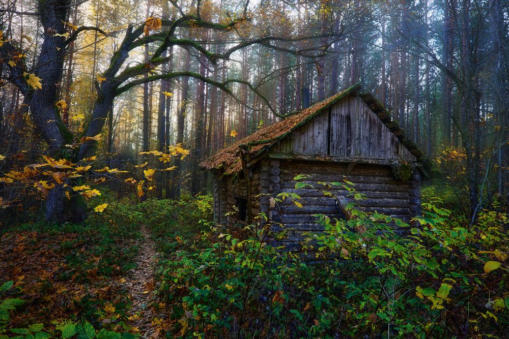 Photograph by Алифанов Александр