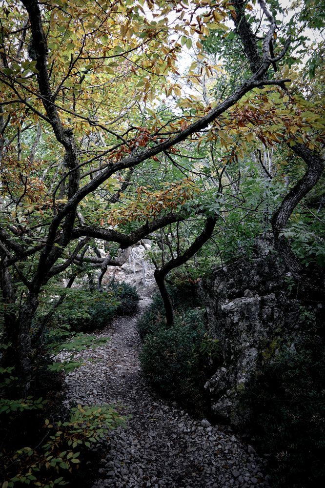 Photograph by Игорь Чечин