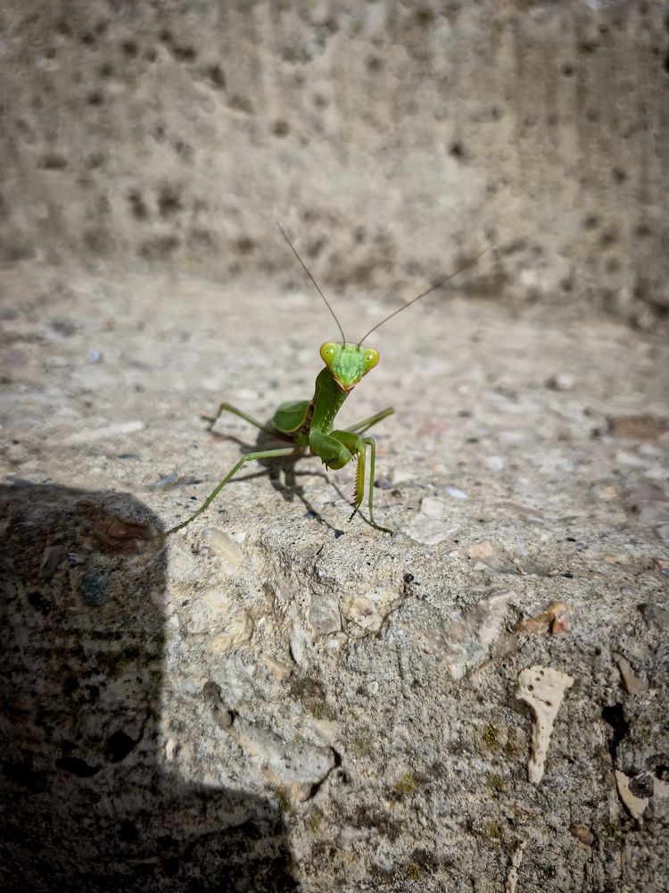 Photograph by Игорь Чечин