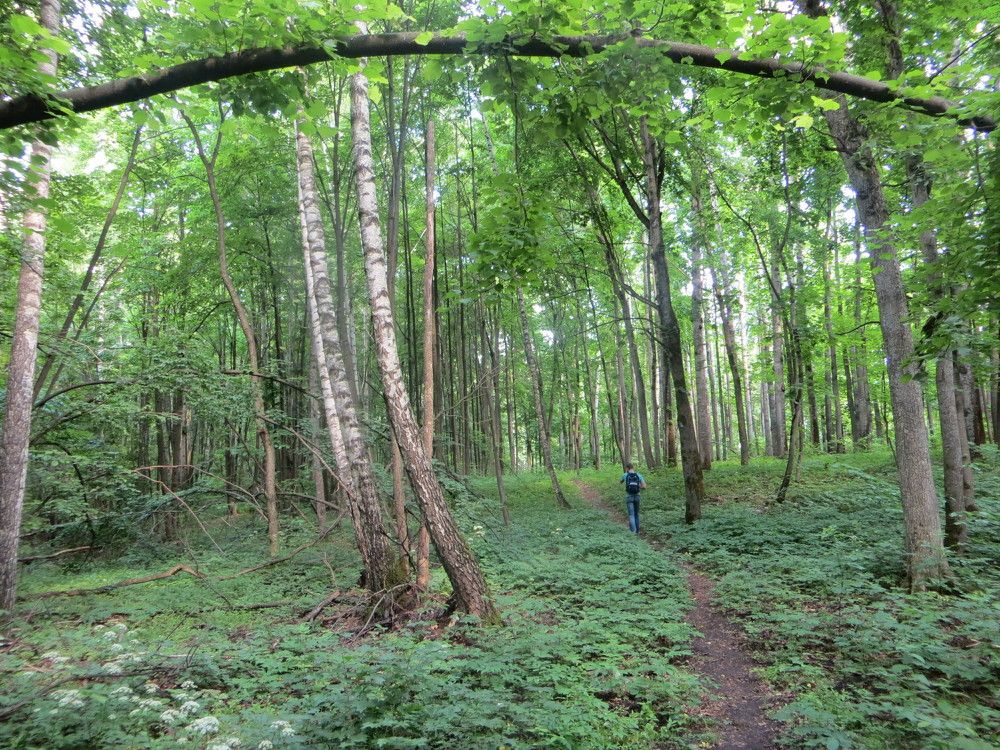 Photograph by Татьяна Поминова