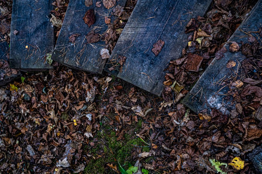 Photograph by Саша Зугров