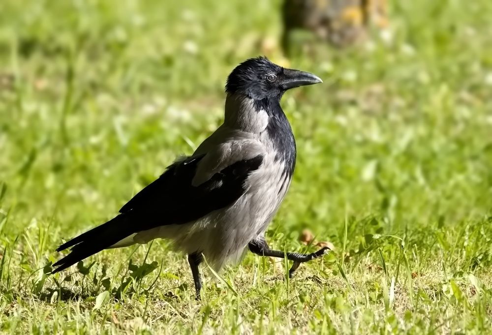 Photograph by Ольга Одаренко