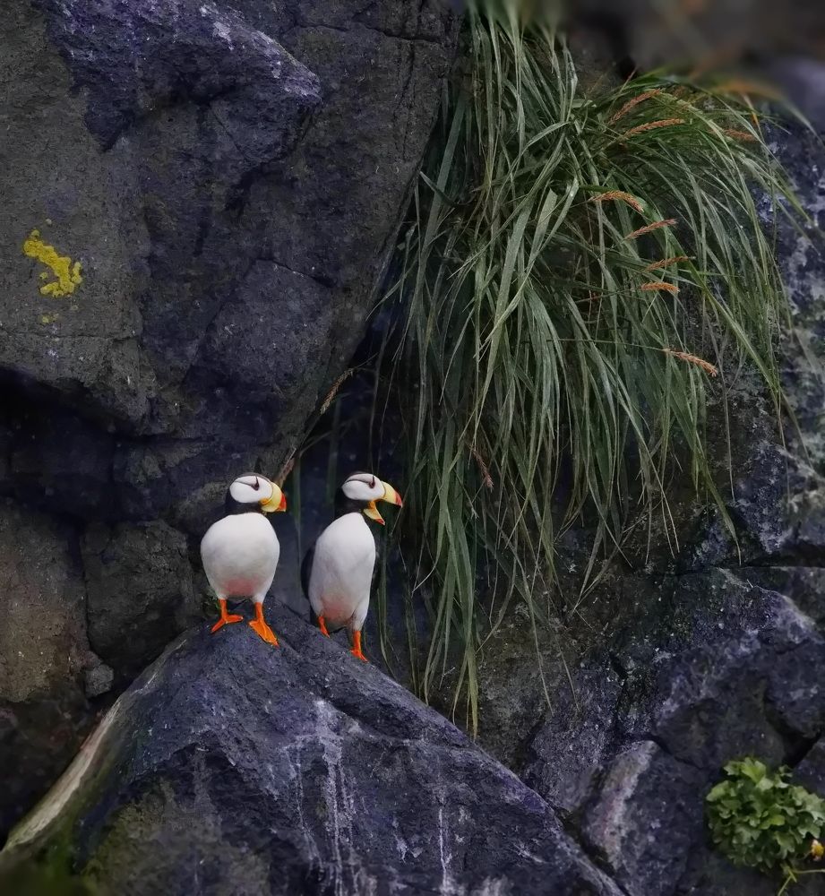 Photograph by Ольга Одаренко