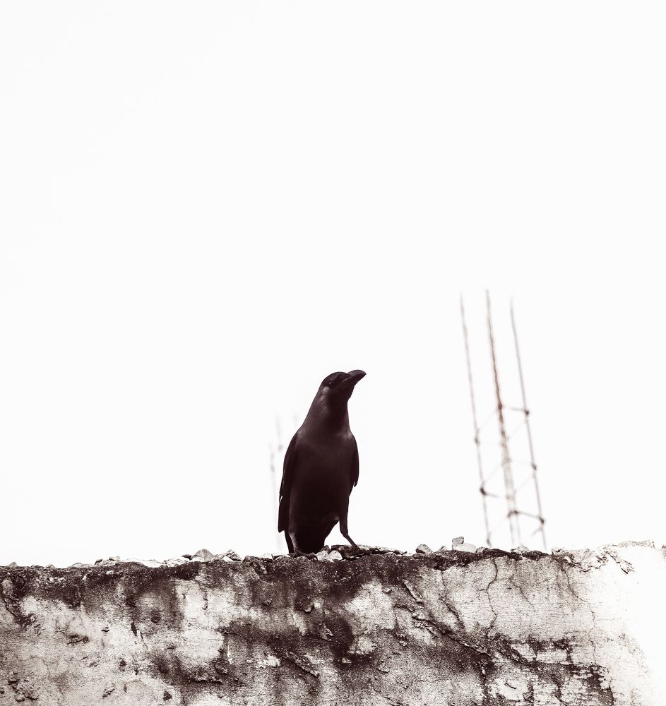 Photograph by Maxwell kimathi