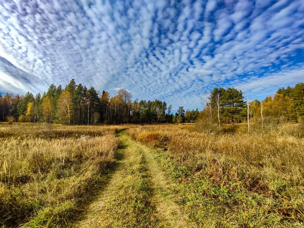 Photograph by Алёна Пшеленская