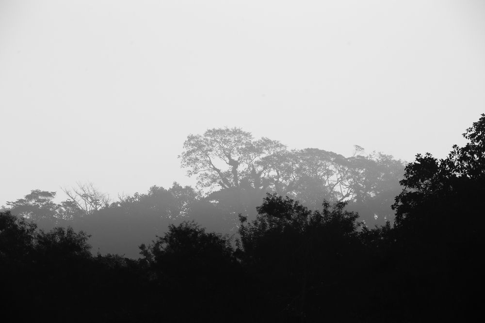 Photograph by Rodrigo Silveira