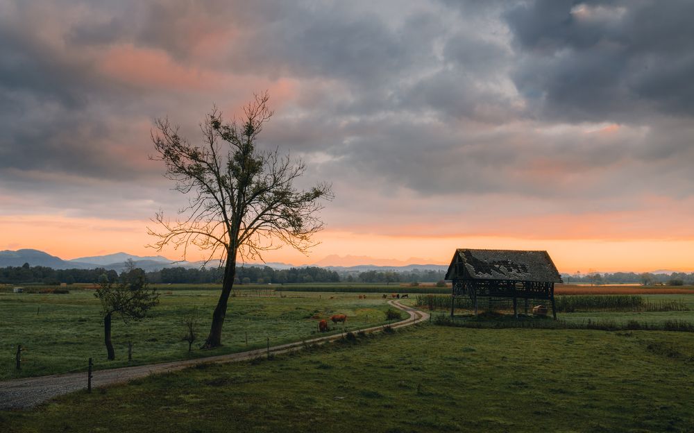 Photograph by Andraž