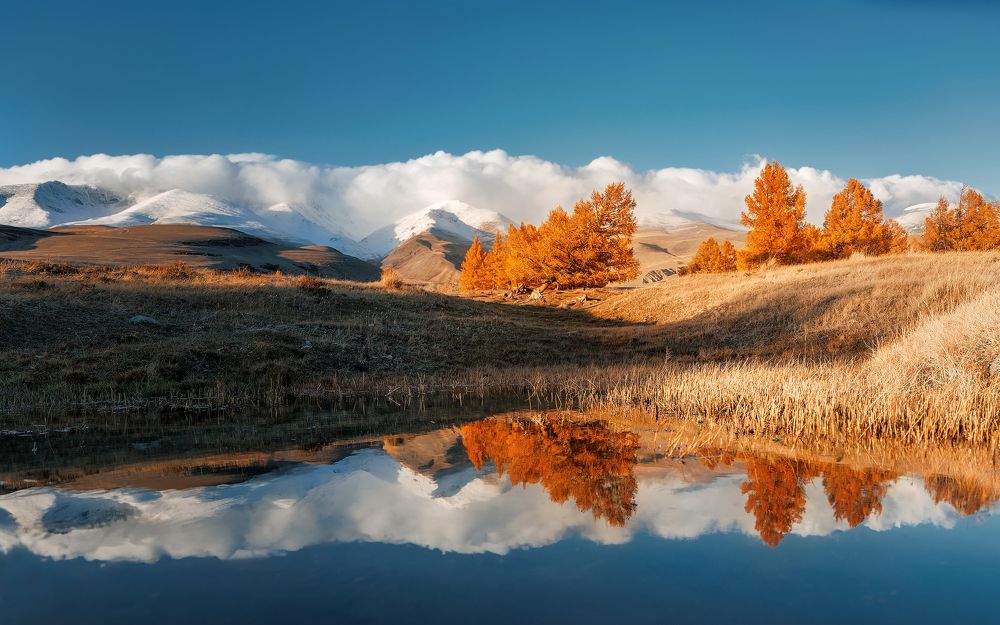 Photograph by Загруев Михаил