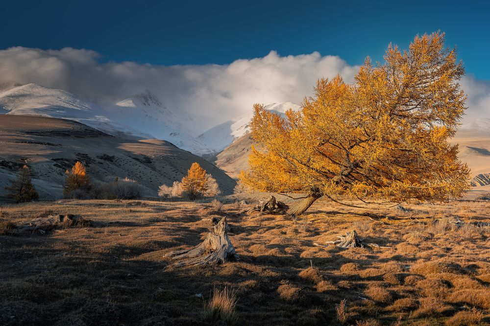 Photograph by Загруев Михаил