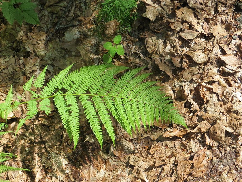 Photograph by Татьяна Поминова