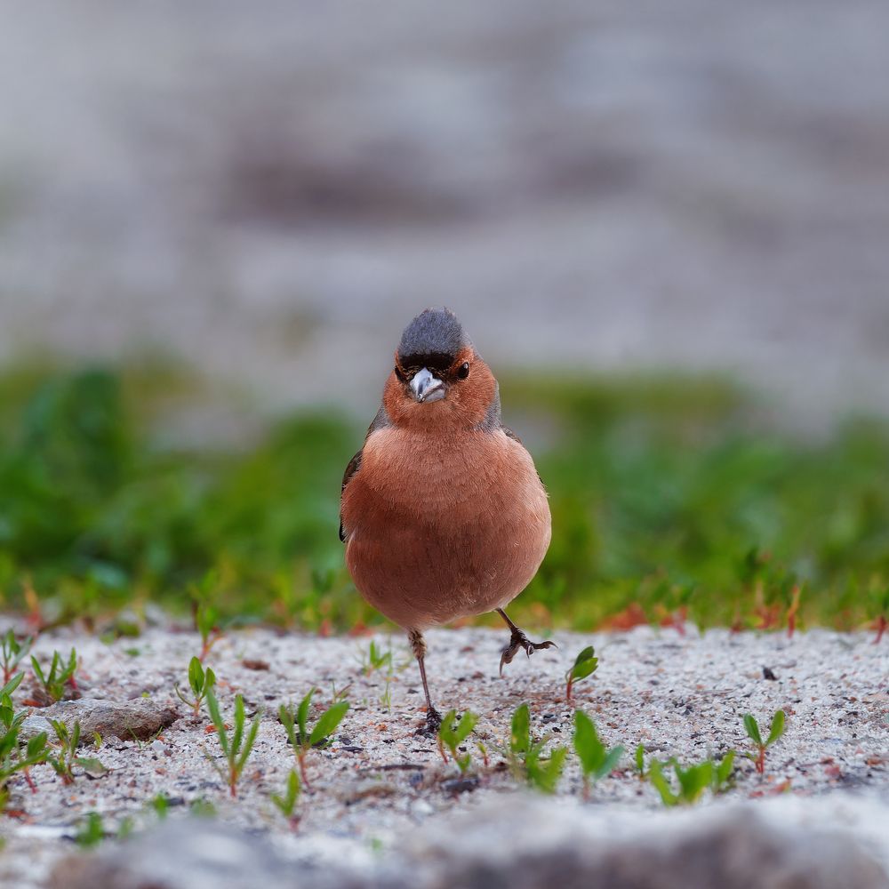 Photograph by Загруев Михаил