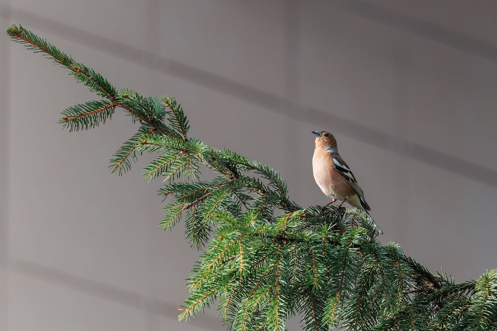 Photograph by Загруев Михаил