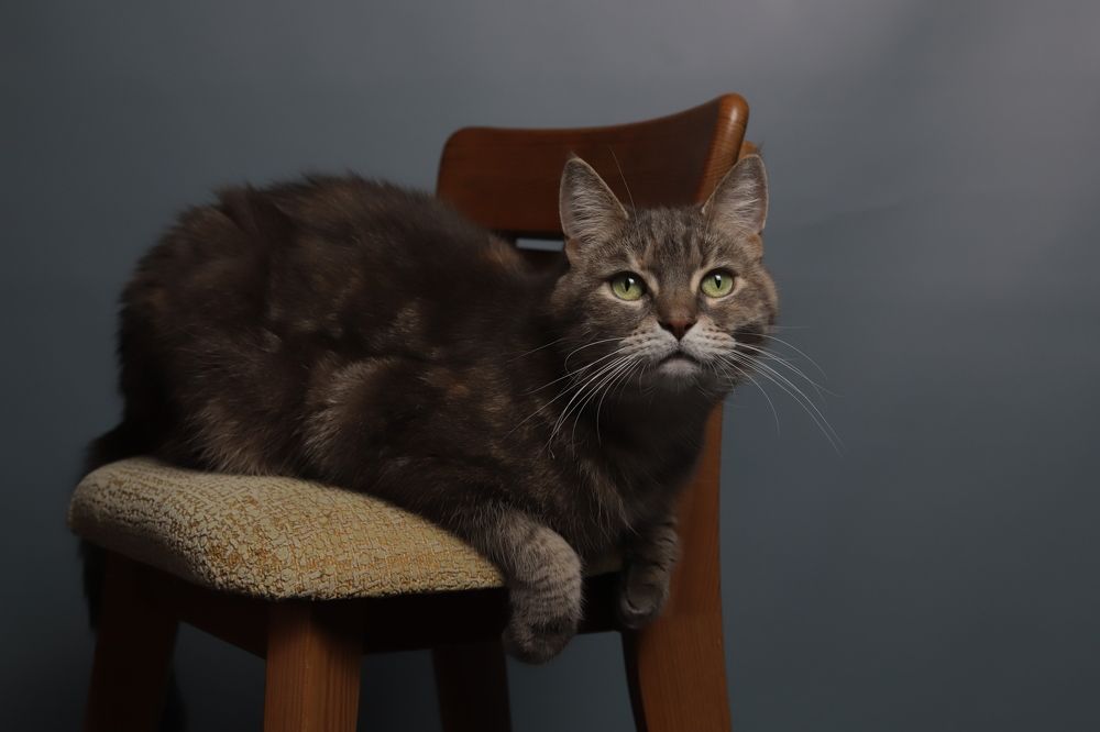 Photograph by Анастасия Солодкая