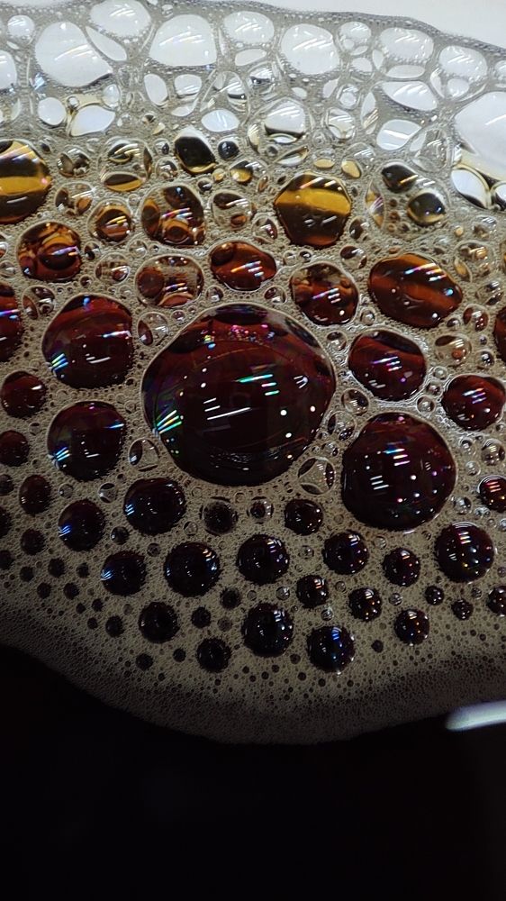 Photograph by Ehsan Fathi