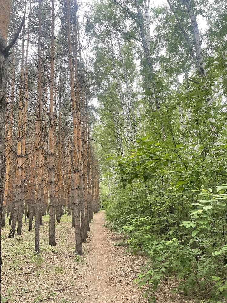 Фотография автора Nadezhda