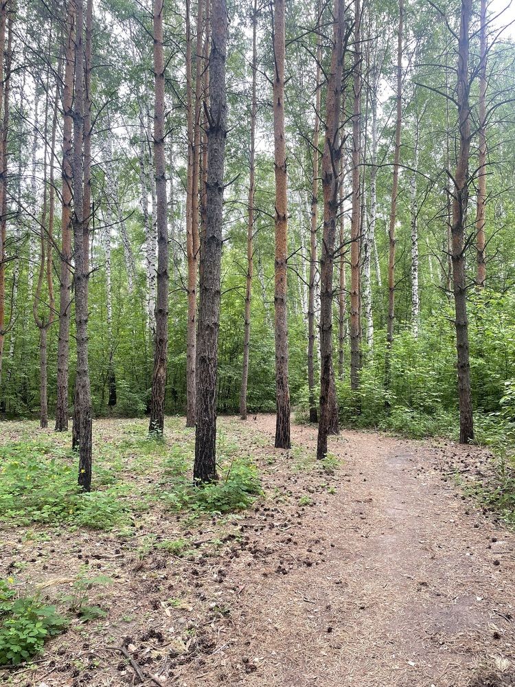 Фотография автора Nadezhda